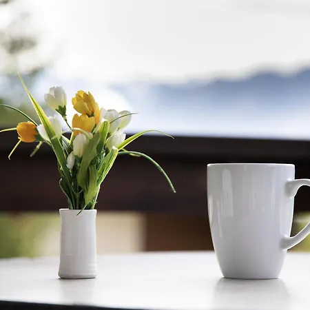 Galaxie 217 By Interhome *