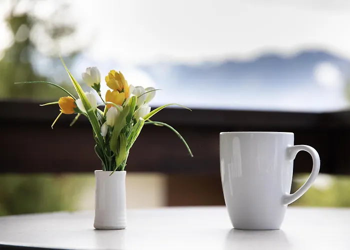 Galaxie 217 By Interhome *